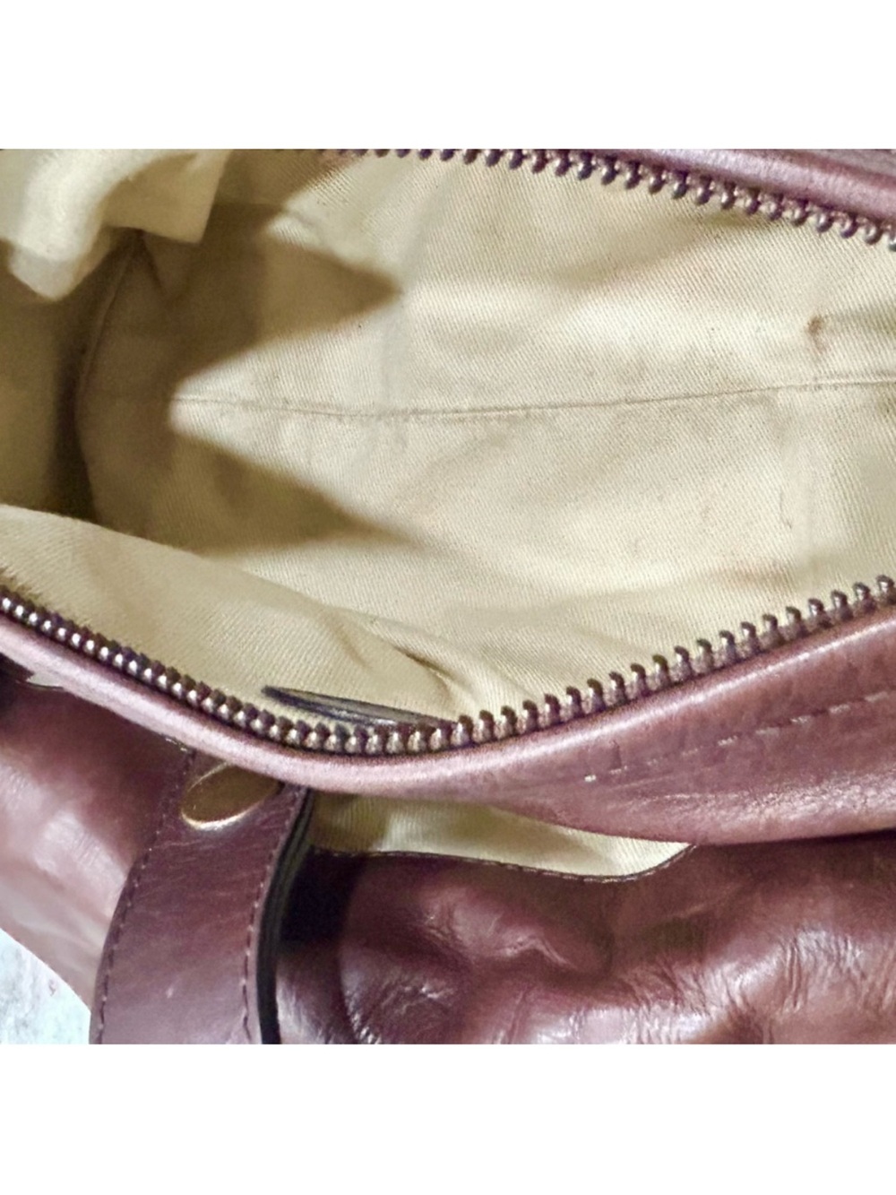 Chloe Authentic Bronze Metallic Python and Leather Silverado Bag Rare - Picture 11 of 15